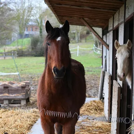 La Bergerie - Maison Chaleureuse Pour 7 Personnes *